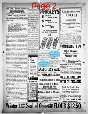 Page thumbnail for The Public Ledger