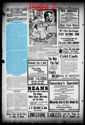 Page thumbnail for The Public Ledger