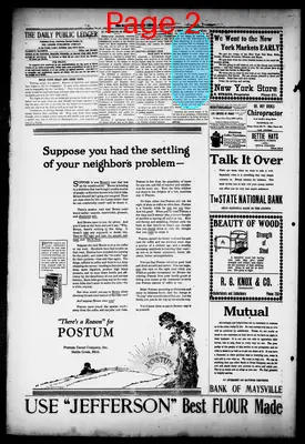 Page thumbnail for The Public Ledger