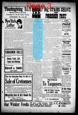 Page thumbnail for The Public Ledger
