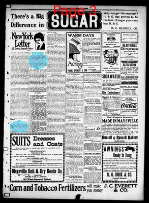 Page thumbnail for The Public Ledger