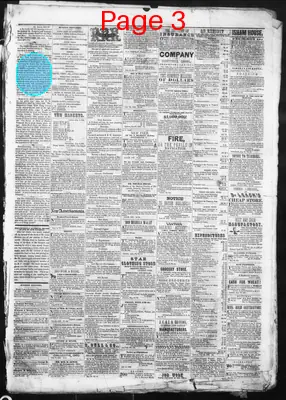 Page thumbnail for The Jackson Standard