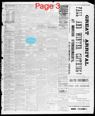 Page thumbnail for The Jackson Standard