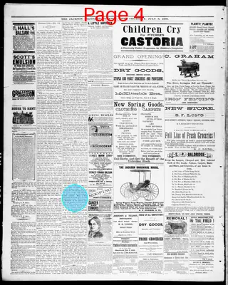 Page thumbnail for The Jackson Standard