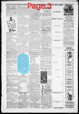Page thumbnail for The Vinton Record