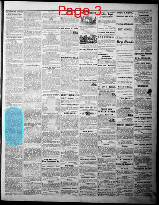 Page thumbnail for The Democratic Advocate