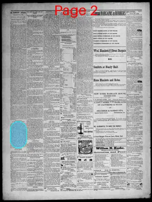 Page thumbnail for The Democratic Advocate