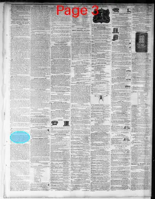 Page thumbnail for Nashville Union And American