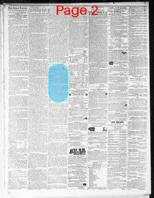 Page thumbnail for Nashville Union And American
