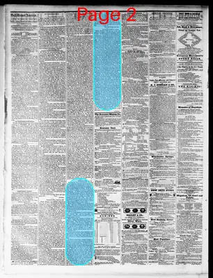 Page thumbnail for Nashville Union And American