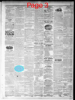 Page thumbnail for Nashville Union And American