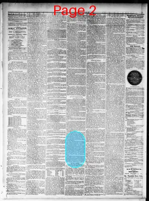 Page thumbnail for Nashville Union And American