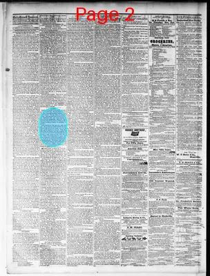 Page thumbnail for Nashville Union And American