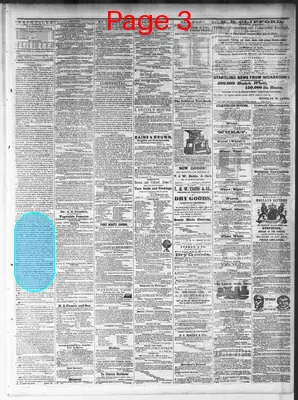 Page thumbnail for Nashville Union And American