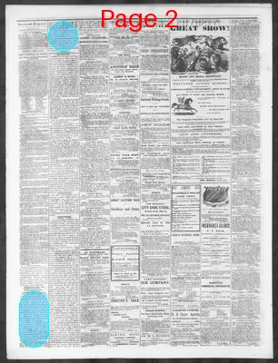 Page thumbnail for Nashville Union And Dispatch