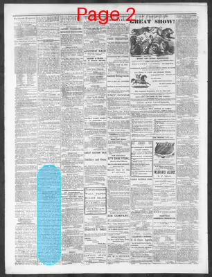 Page thumbnail for Nashville Union And Dispatch