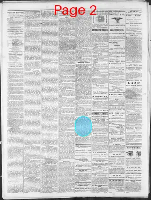 Page thumbnail for Nashville Union And Dispatch