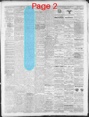 Page thumbnail for Nashville Union And Dispatch