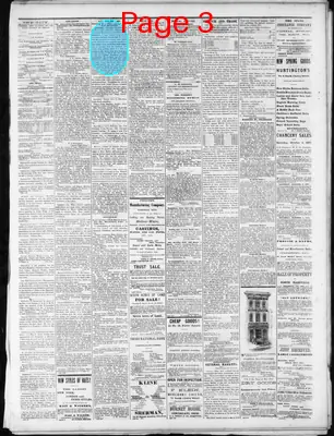 Page thumbnail for Nashville Union And Dispatch