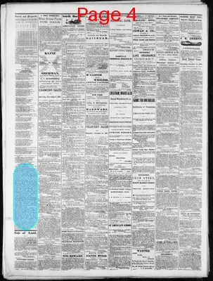Page thumbnail for Nashville Union And Dispatch