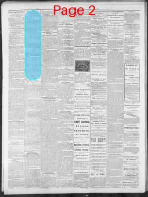 Page thumbnail for Nashville Union And Dispatch