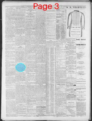 Page thumbnail for Nashville Union And Dispatch