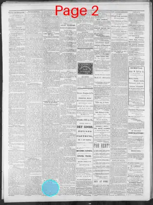 Page thumbnail for Nashville Union And Dispatch