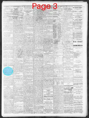 Page thumbnail for Nashville Union And Dispatch