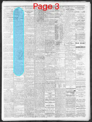 Page thumbnail for Nashville Union And Dispatch