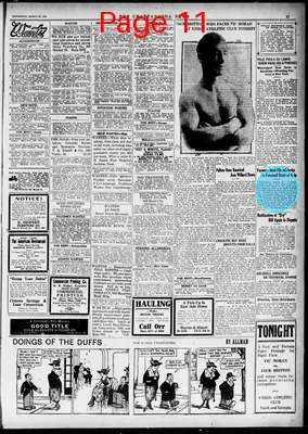 Page thumbnail for The Chattanooga News