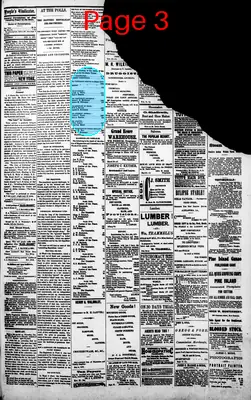 Page thumbnail for The People's Vindicator