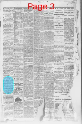 Page thumbnail for The Oxford Falcon