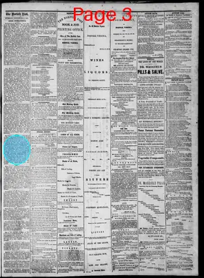 Page thumbnail for The Norfolk Post