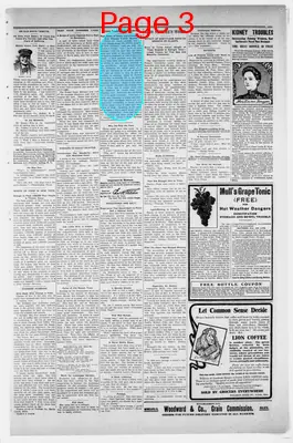 Page thumbnail for The Ladysmith News And Ingram News