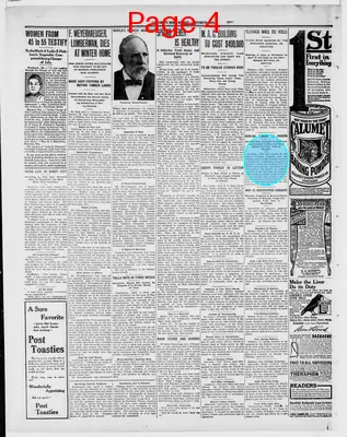 Page thumbnail for Ladysmith News Budget