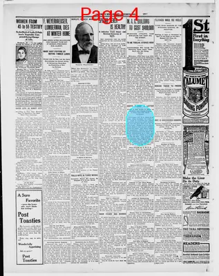 Page thumbnail for Ladysmith News Budget
