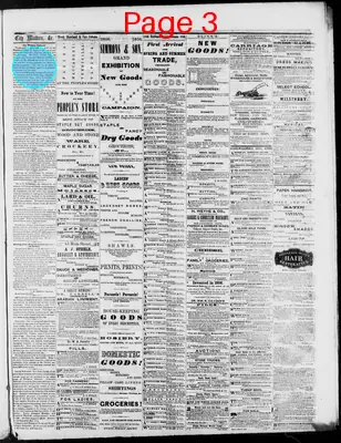 Page thumbnail for Tribune And Telegraph