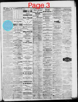 Page thumbnail for Tribune And Telegraph