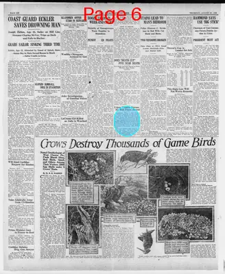 Page thumbnail for The Telegraph Courier