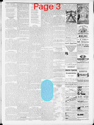 Page thumbnail for The Superior Times