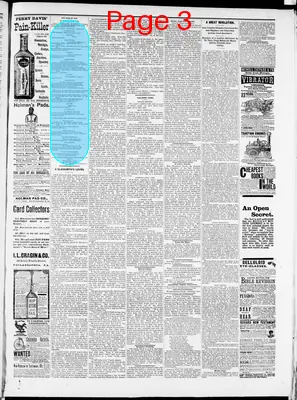 Page thumbnail for The Superior Times