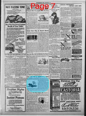 Page thumbnail for The Washburn Times
