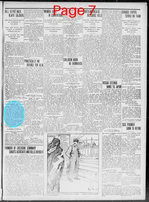 Page thumbnail for Vernon County Censor