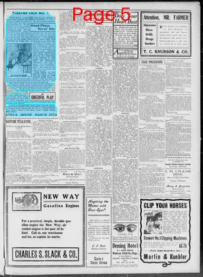 Page thumbnail for Vernon County Censor