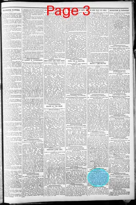 Page thumbnail for Eagle River Review