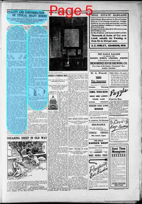 Page thumbnail for Northern Wisconsin Advertiser
