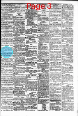 Page thumbnail for Daily American Organ