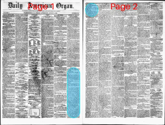 Page thumbnail for Daily American Organ