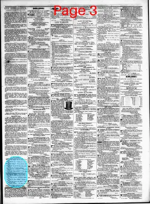 Page thumbnail for Daily American Organ
