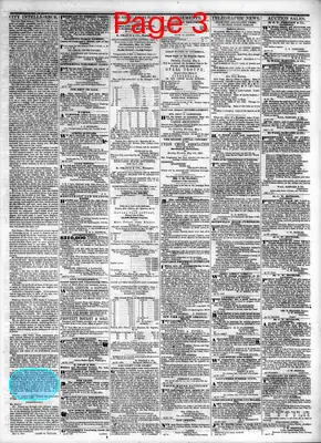 Page thumbnail for Daily American Organ